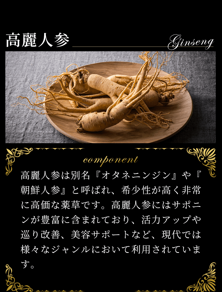 高麗人参
