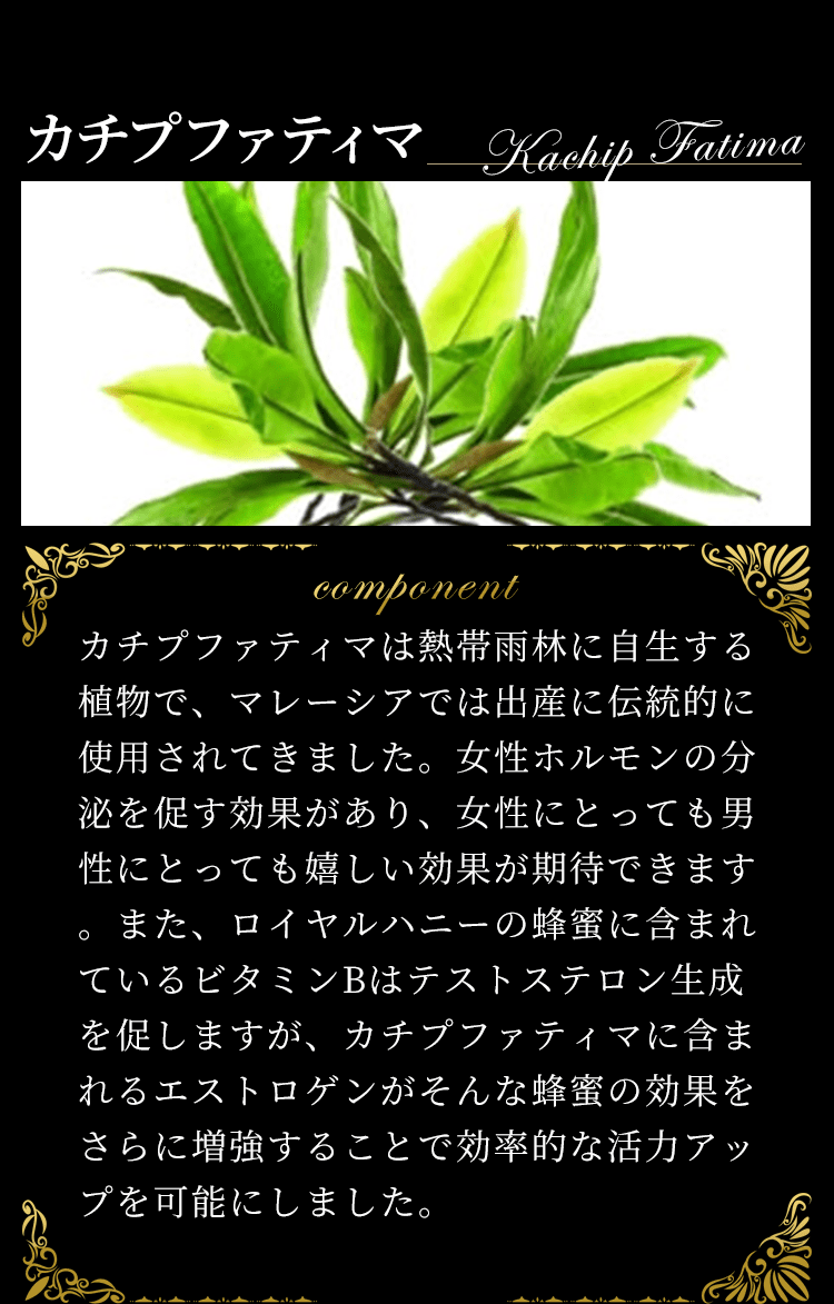カチプファティマ